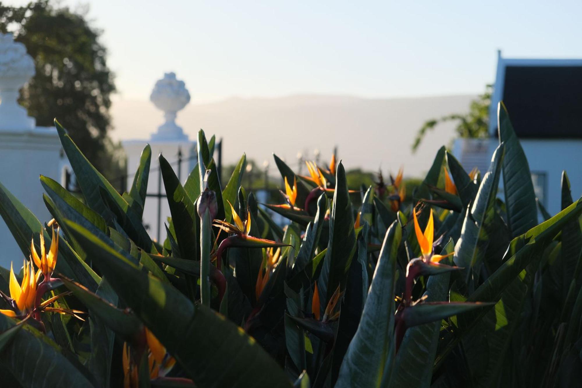 Adara Palmiet Valley Luxurious Boutique Farm Hotel Paarl Exterior photo